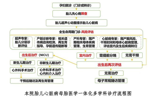 【數(shù)說(shuō)2024】醫(yī)學(xué)遺傳中心2024年鑒(圖7)