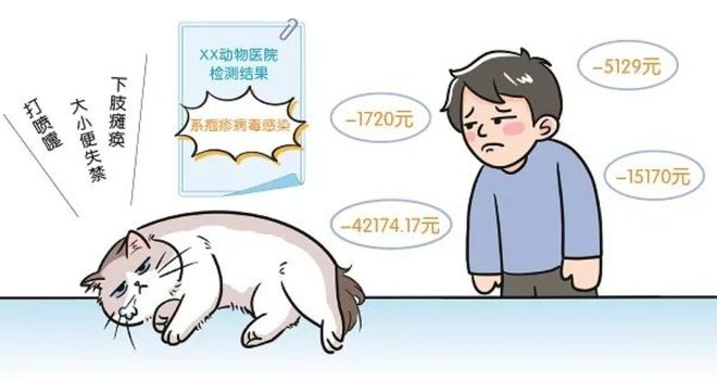 3萬(wàn)買貓后續(xù)治療費(fèi)6萬(wàn)法院判了！(圖3)