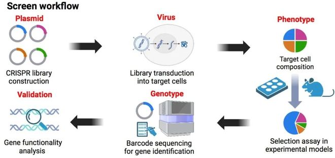 腫瘤CRISPRScreen在線平臺(tái)！重磅推薦！(圖1)
