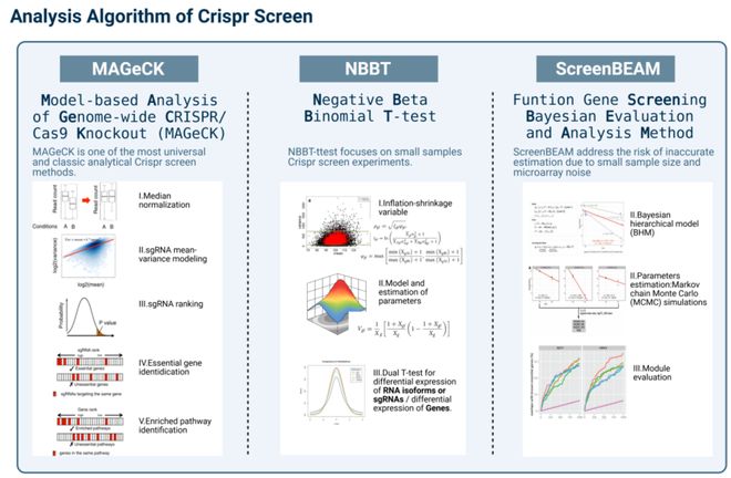 腫瘤CRISPRScreen在線平臺(tái)！重磅推薦！(圖5)